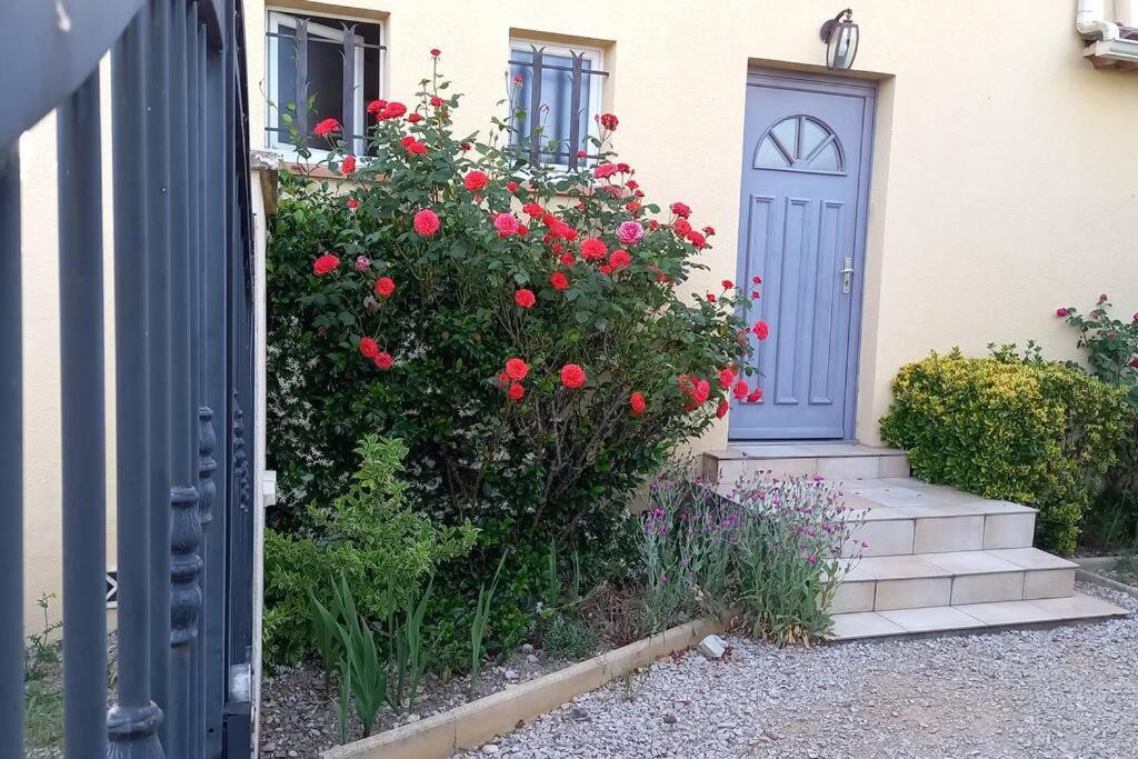 House Of Magic Lake Gréoux-les-Bains Dış mekan fotoğraf
