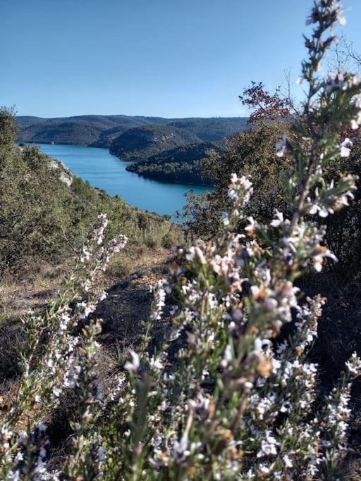 House Of Magic Lake Gréoux-les-Bains Dış mekan fotoğraf