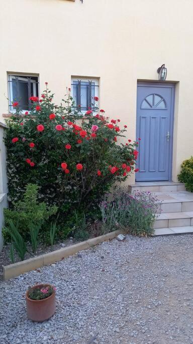 House Of Magic Lake Gréoux-les-Bains Dış mekan fotoğraf